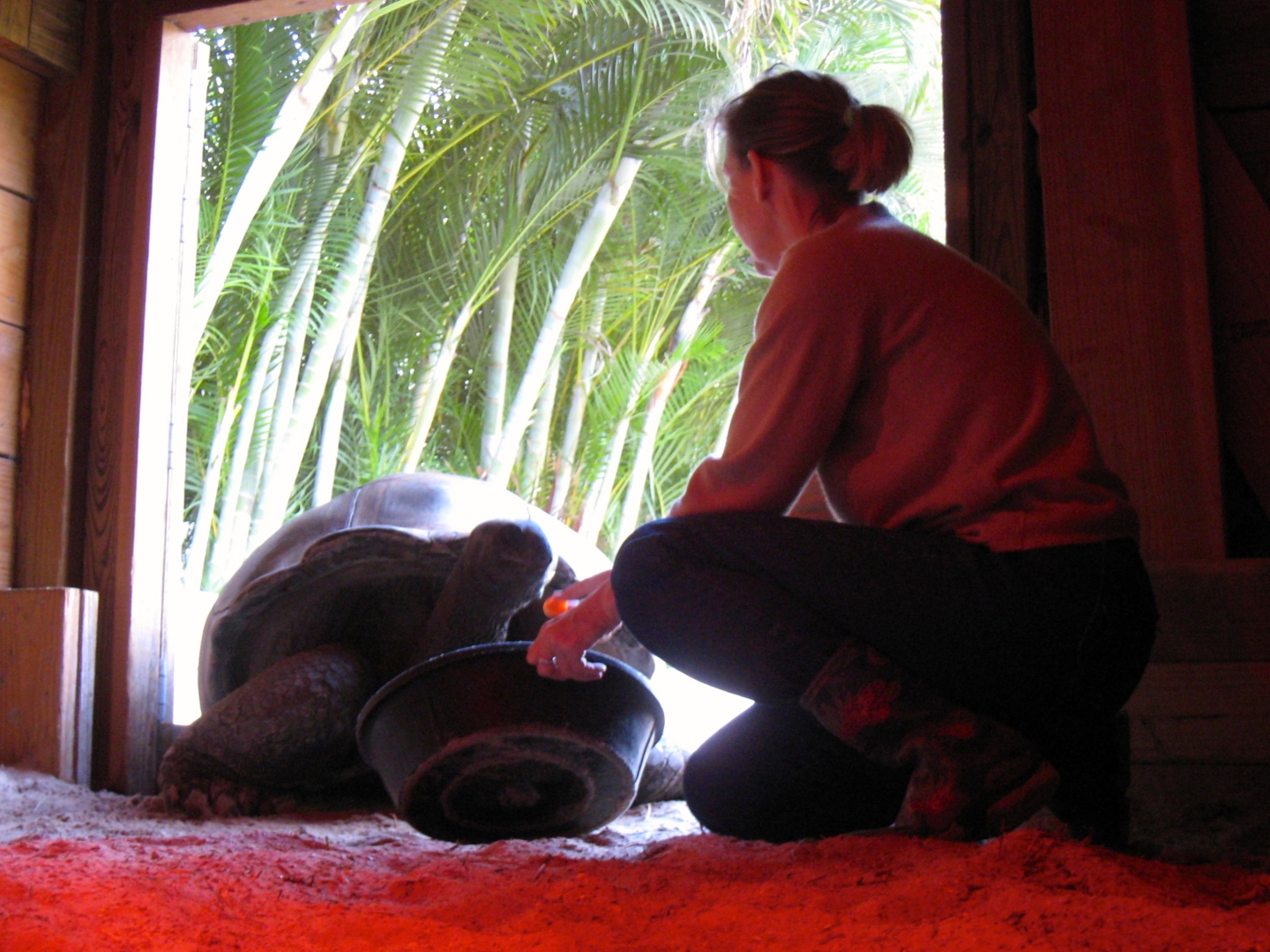 Aldabra Breeders