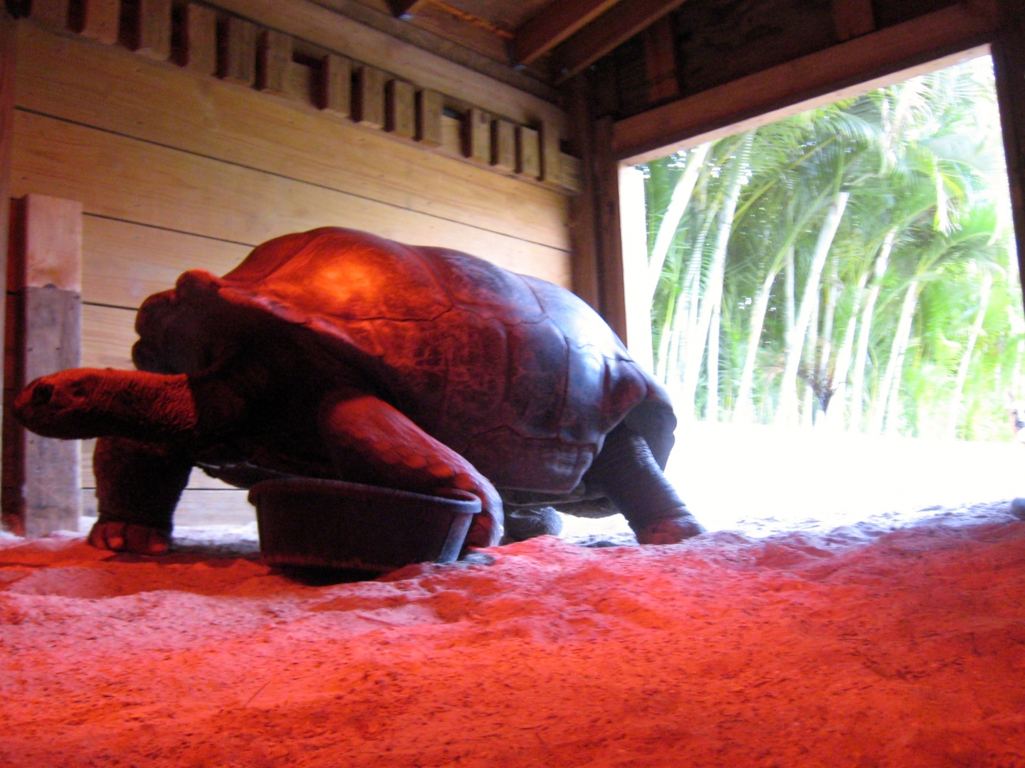 Aldabra Breeders