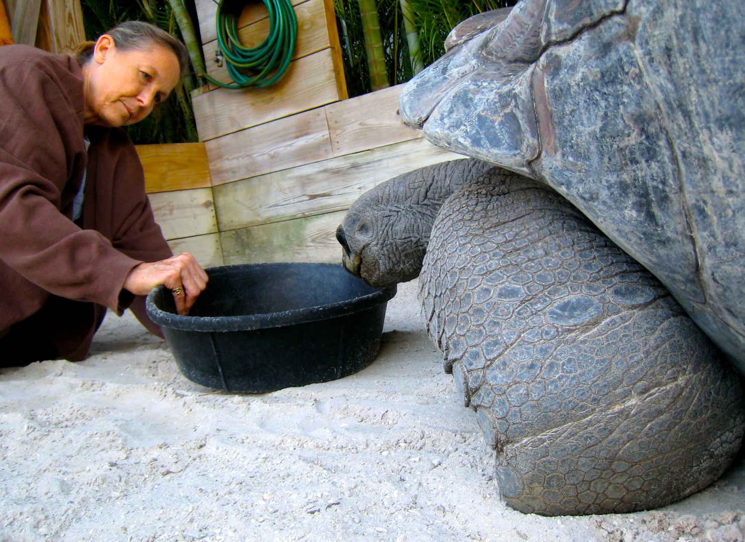 Aldabra Breeders