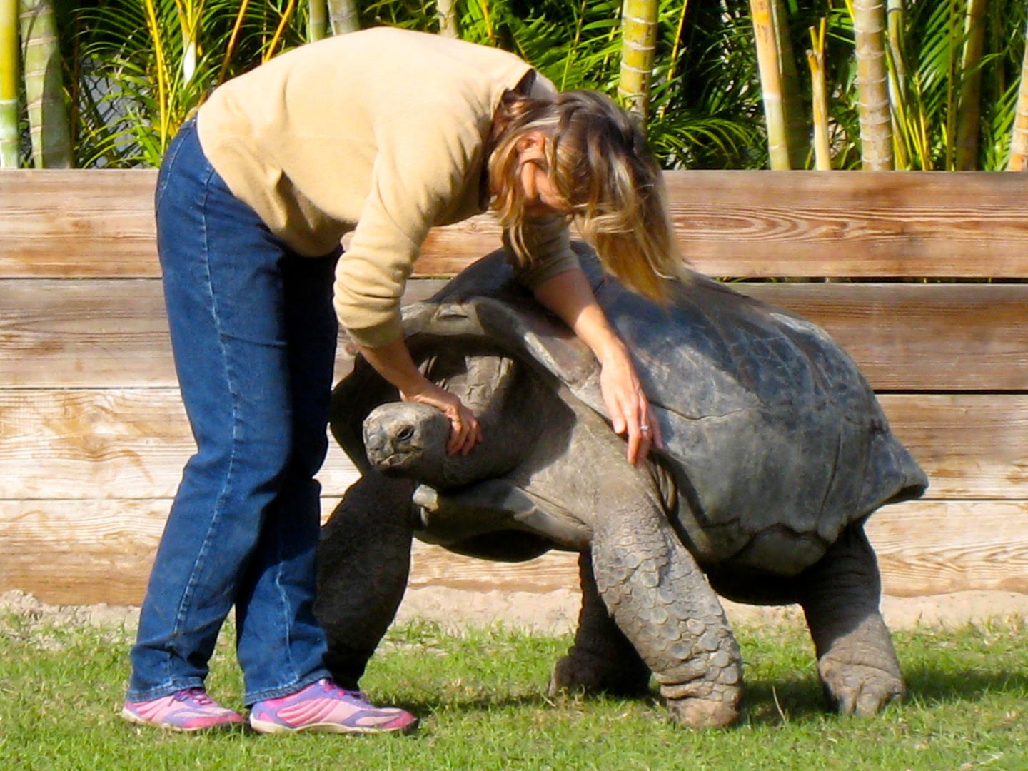 Aldabra Breeders