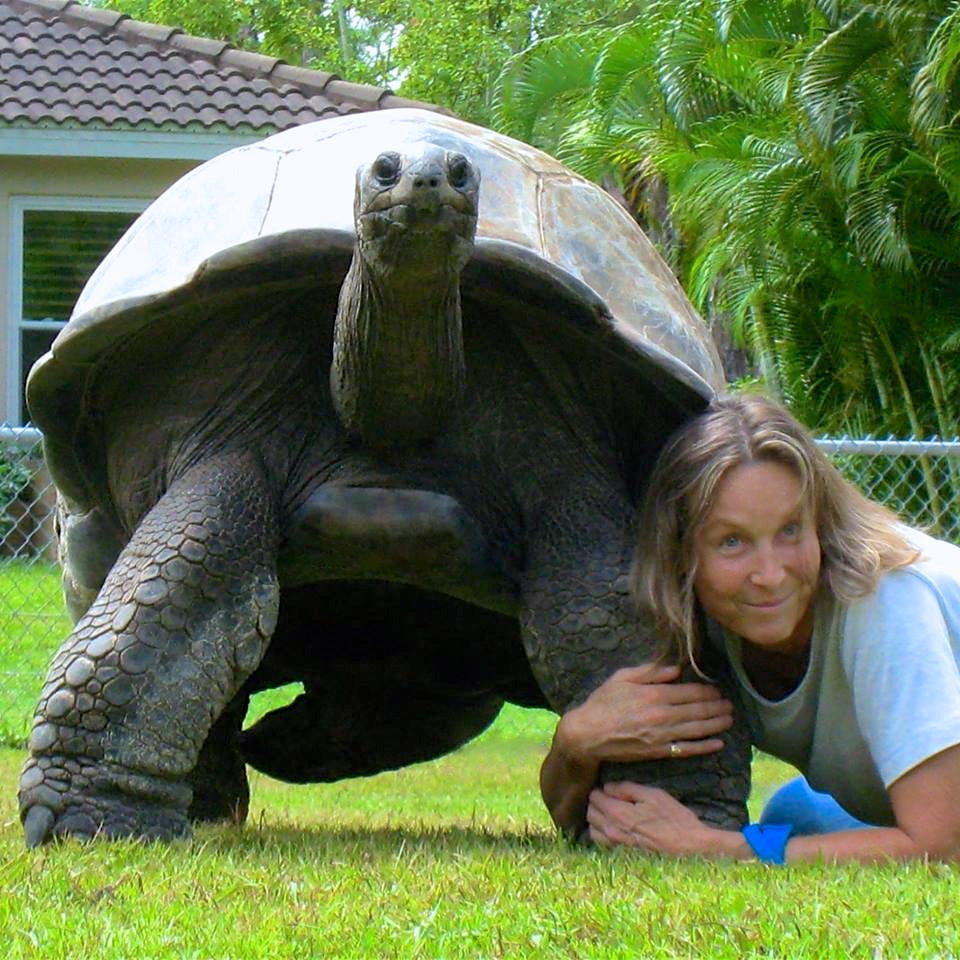 Aldabra Breeders