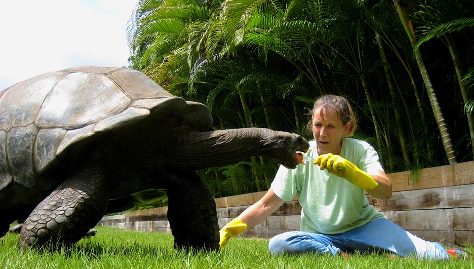 Aldabra Breeders