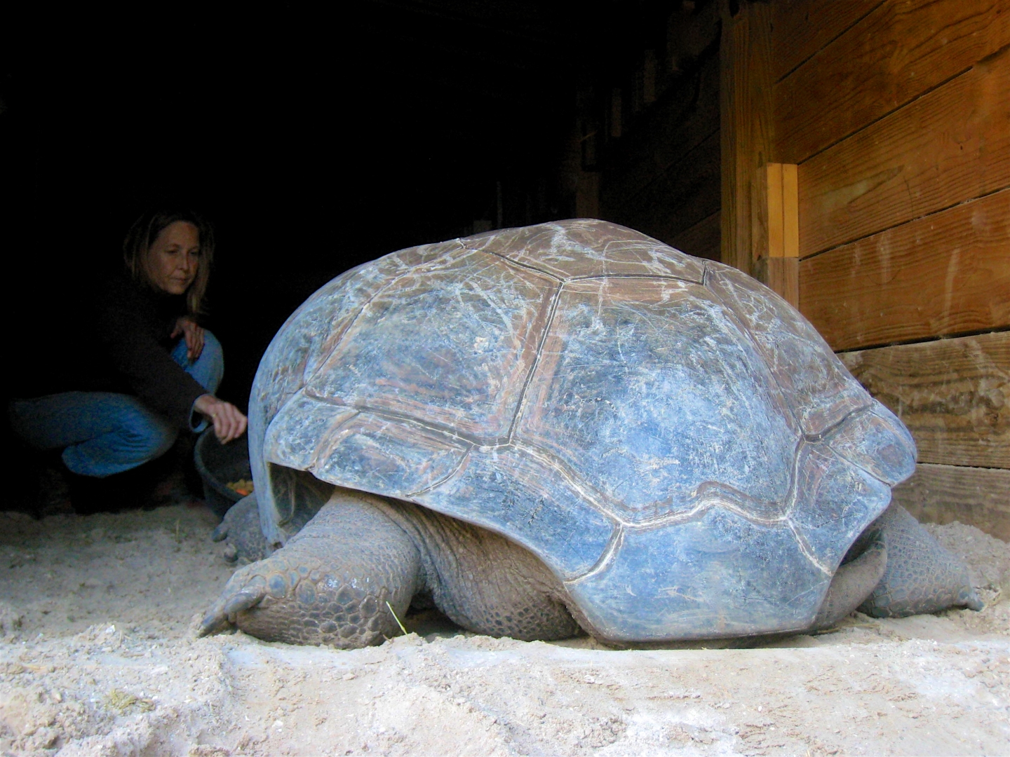 Aldabra Breeders