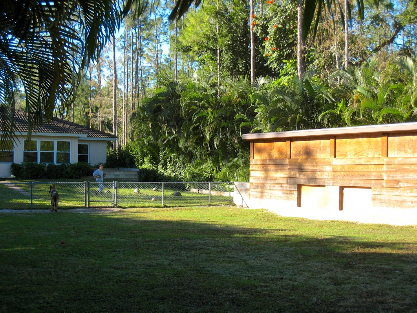 Aldabra Breeders