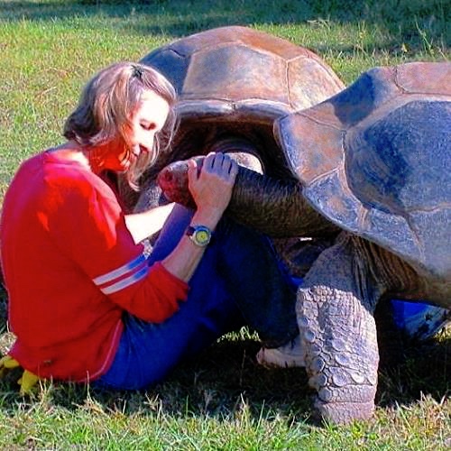 Aldabra Breeders
