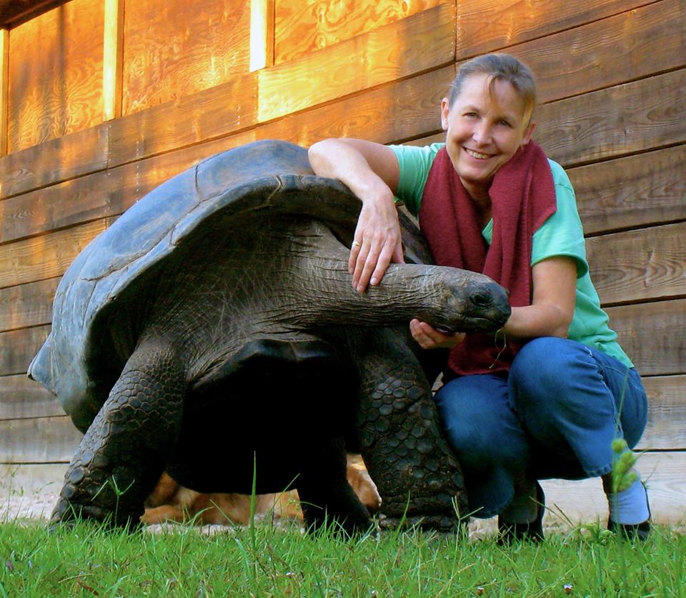 Aldabra Breeders