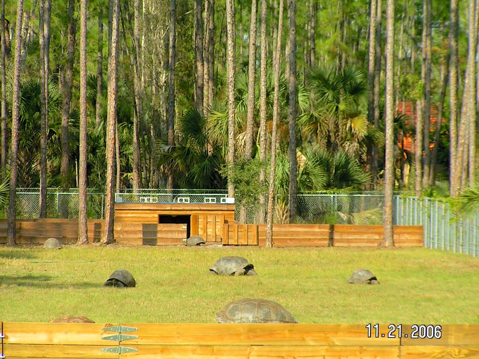Aldabra Breeders