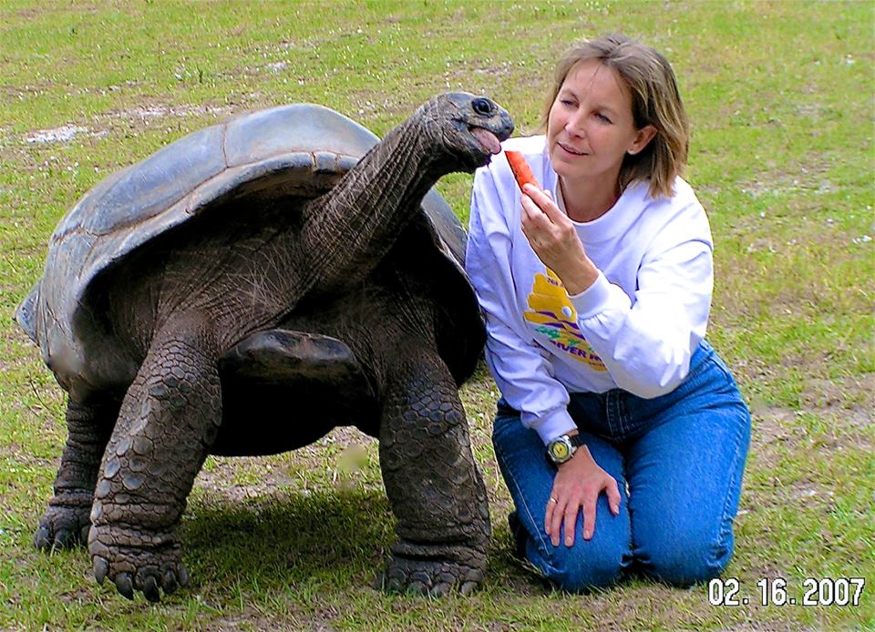 Aldabra Breeders