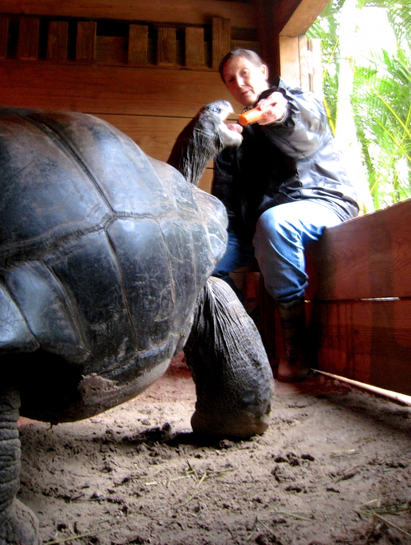 Aldabra Breeders