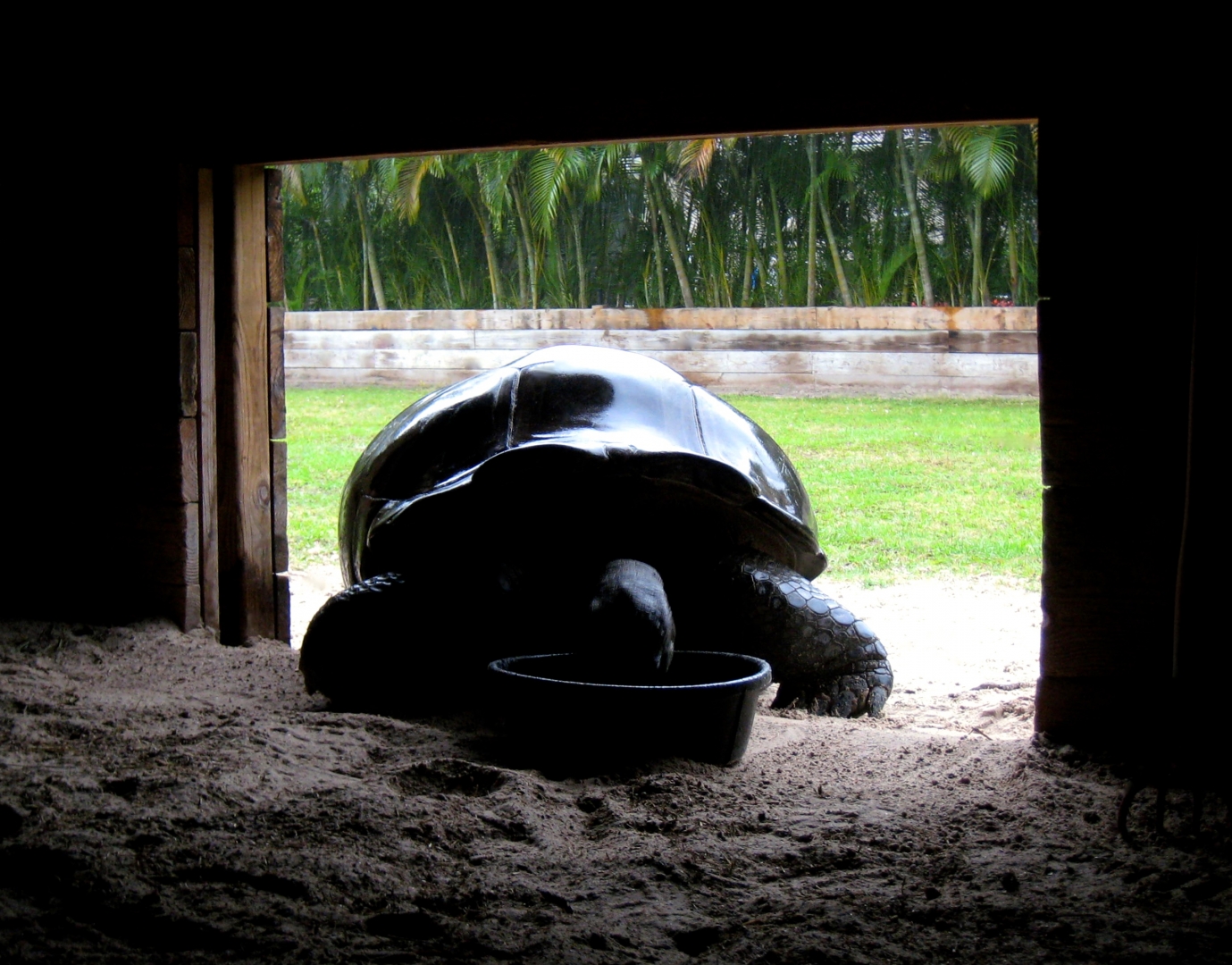 Aldabra Breeders