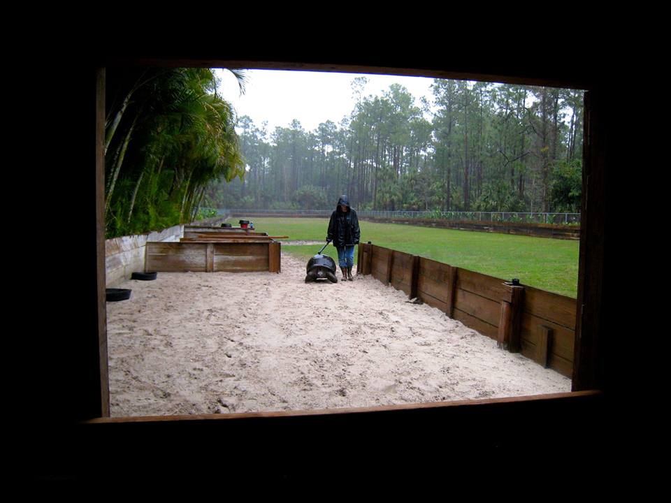 Aldabra Breeders
