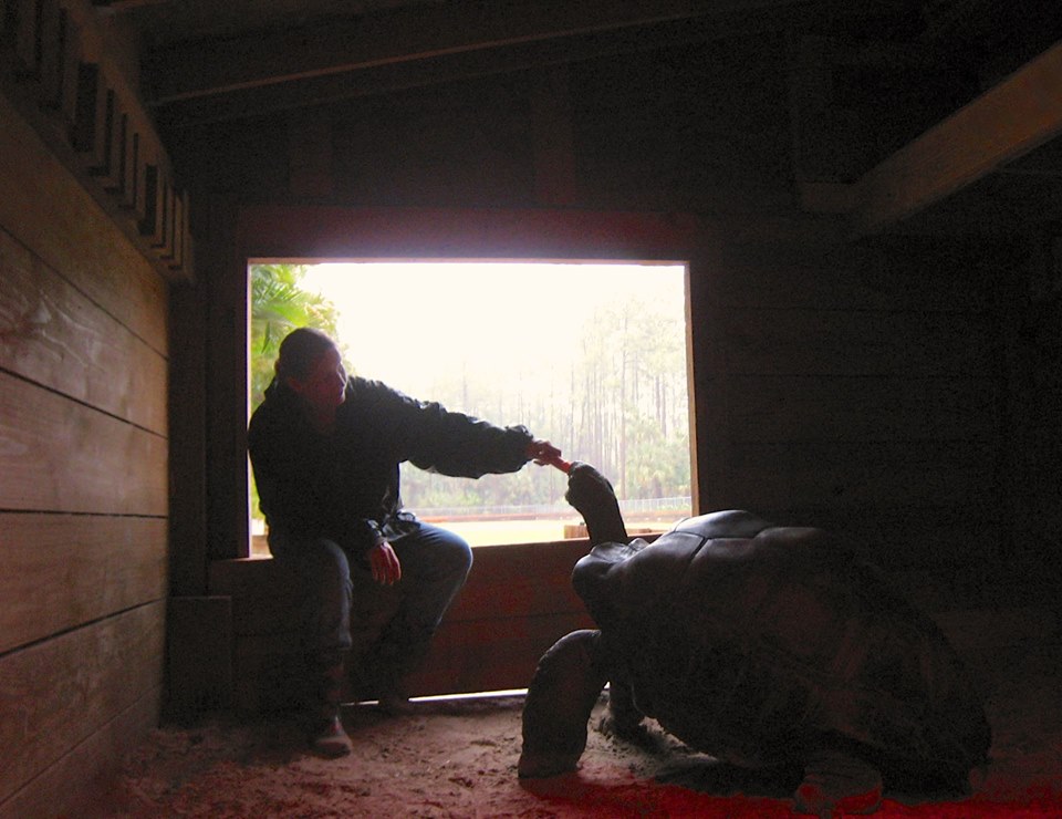 Aldabra Breeders