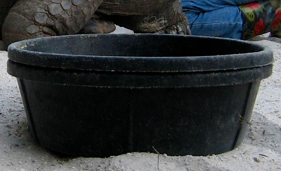 Aldabra Breeders