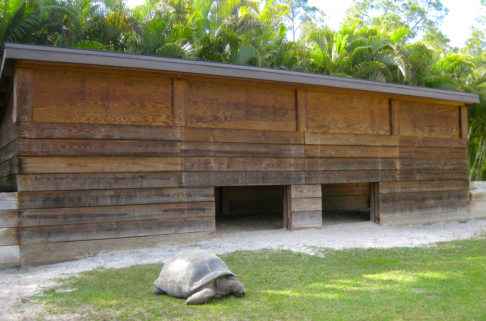 Aldabra Breeders