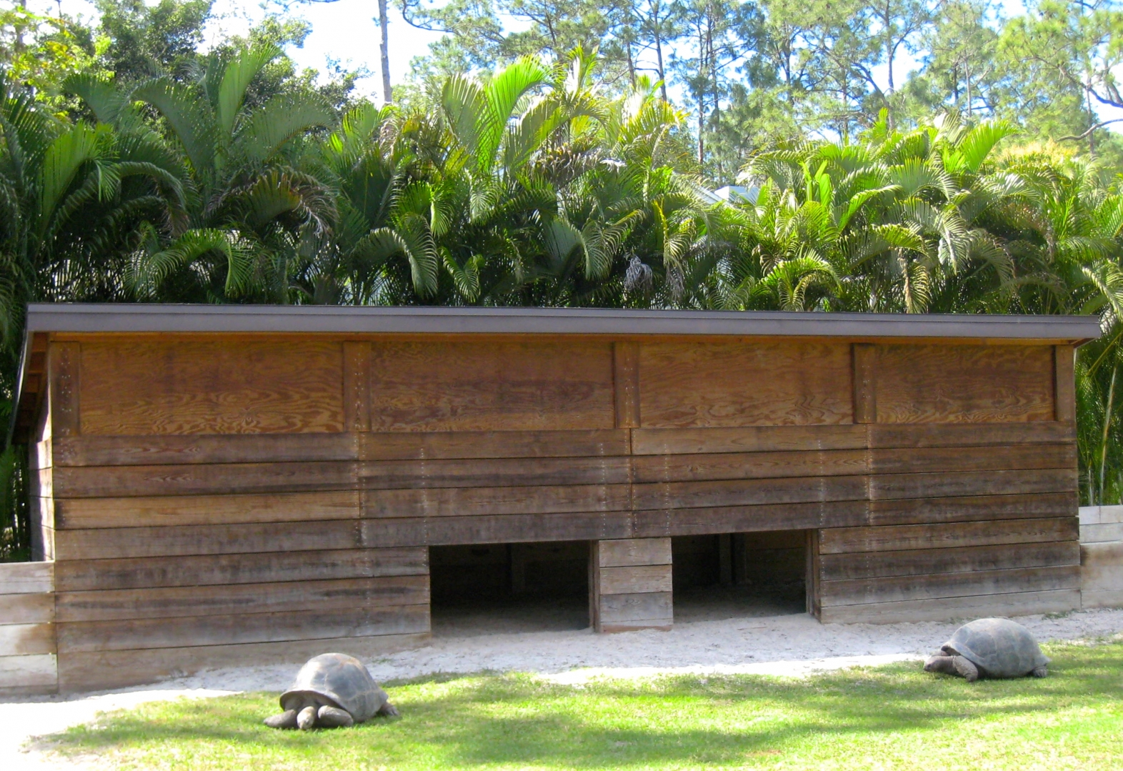Aldabra Breeders
