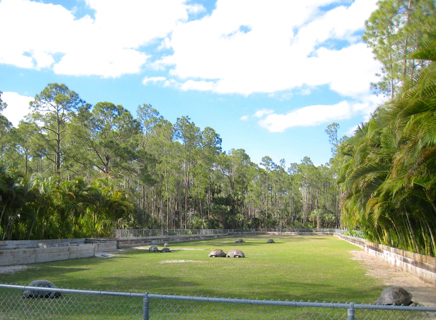 Aldabra Breeders