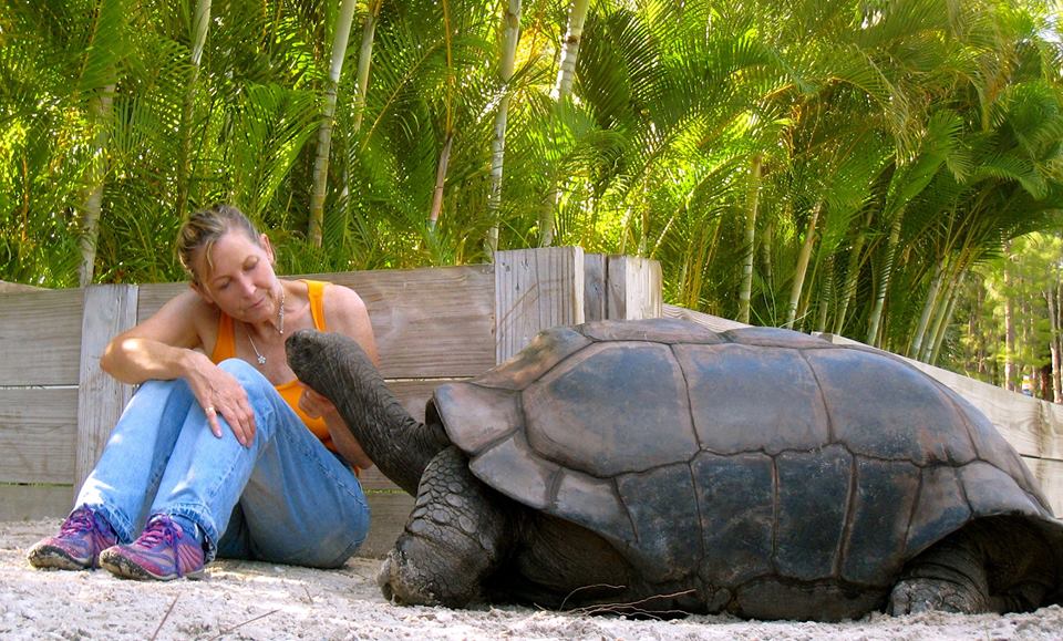 Aldabra Breeders