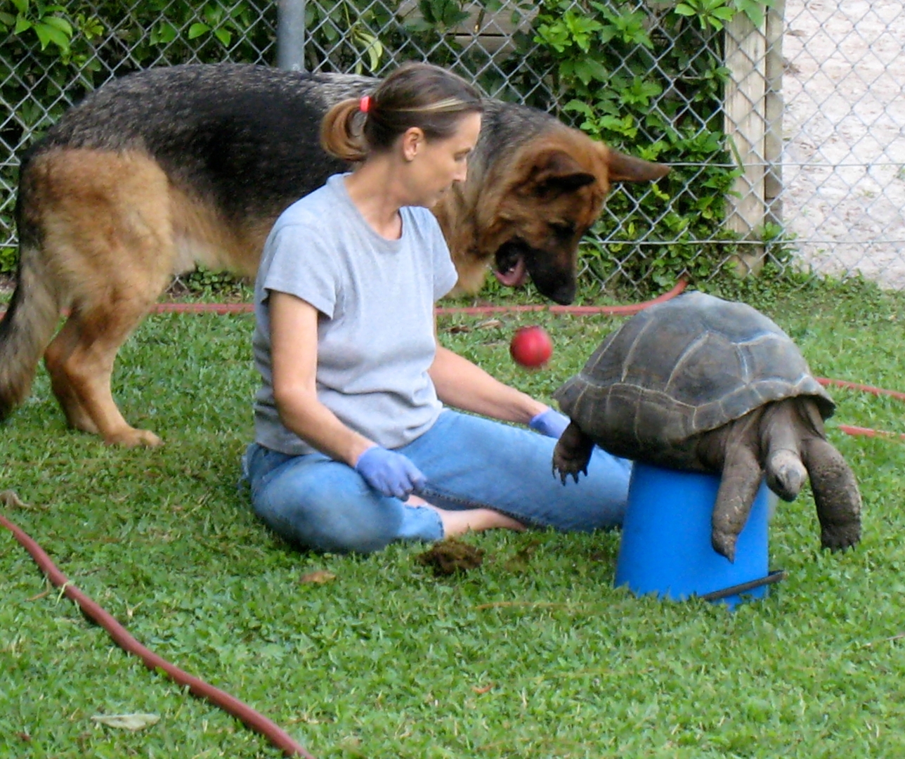 Aldabra Breeders