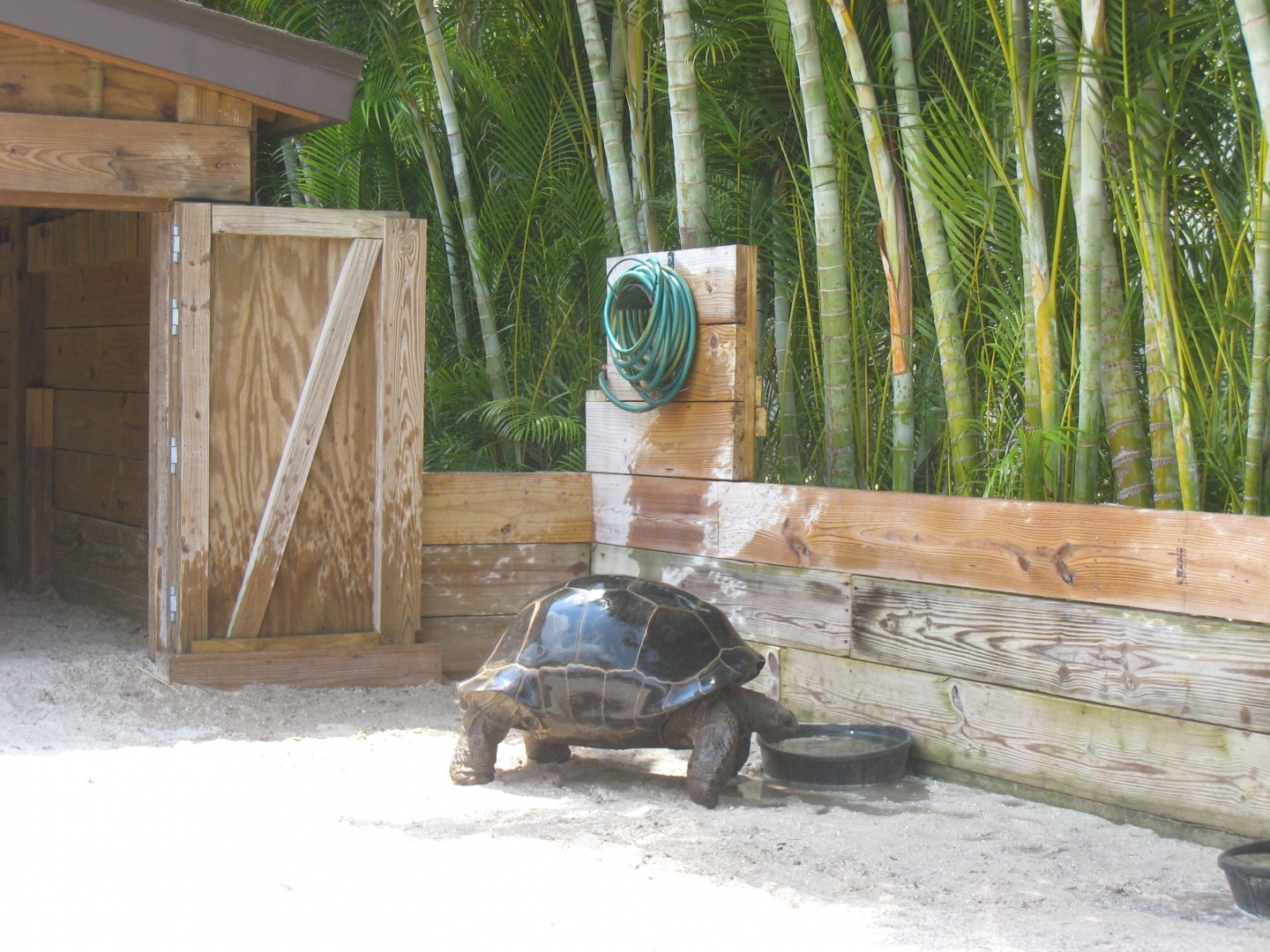 Aldabra Breeders