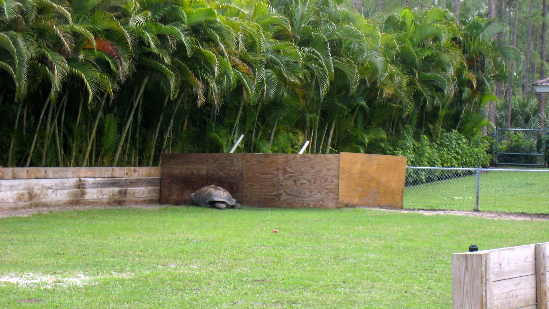 Aldabra Breeders
