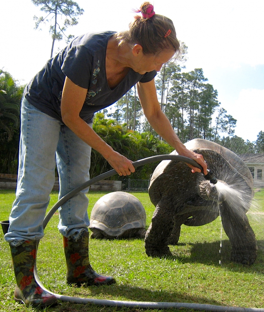 Aldabra Breeders