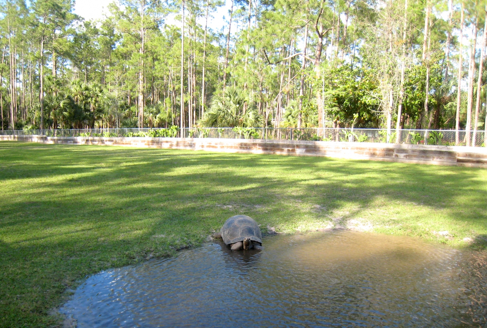 Aldabra Breeders
