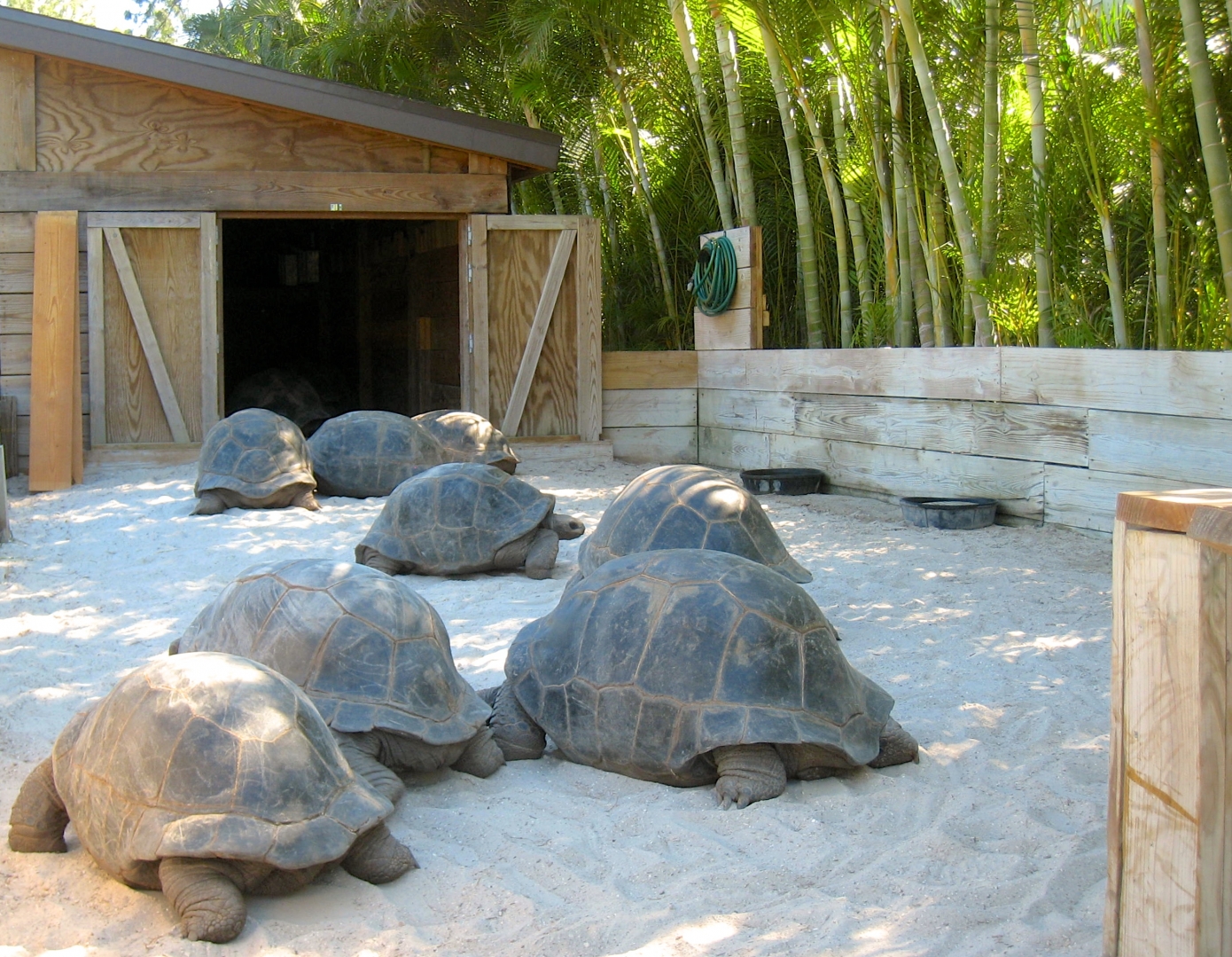Aldabra Breeders