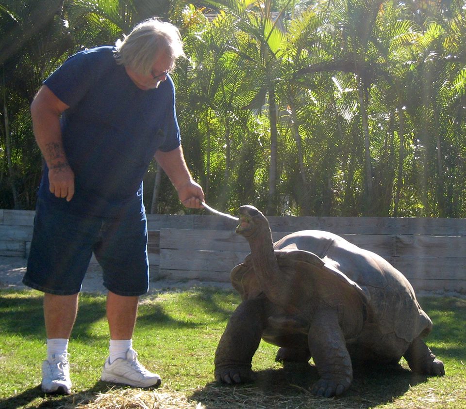 Aldabra Breeders