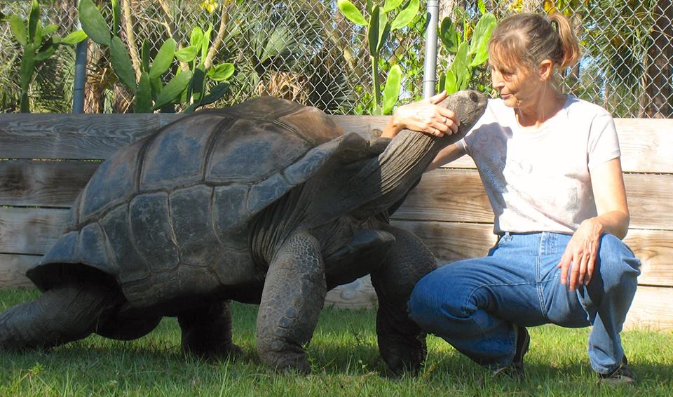Aldabra Breeders