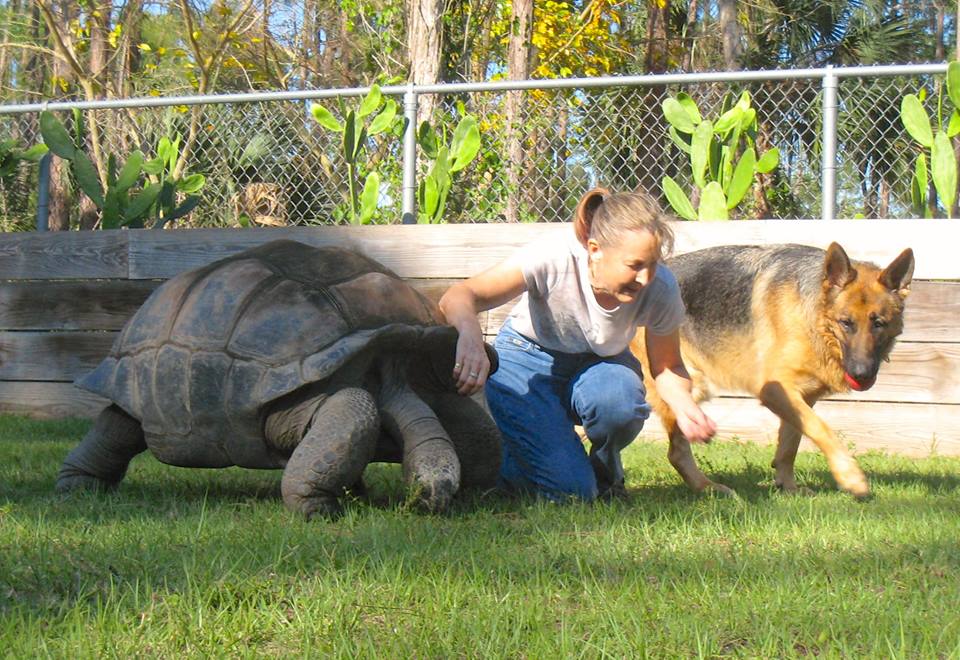 Aldabra Breeders