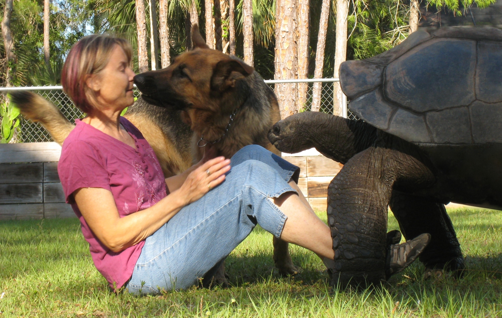 Aldabra Breeders