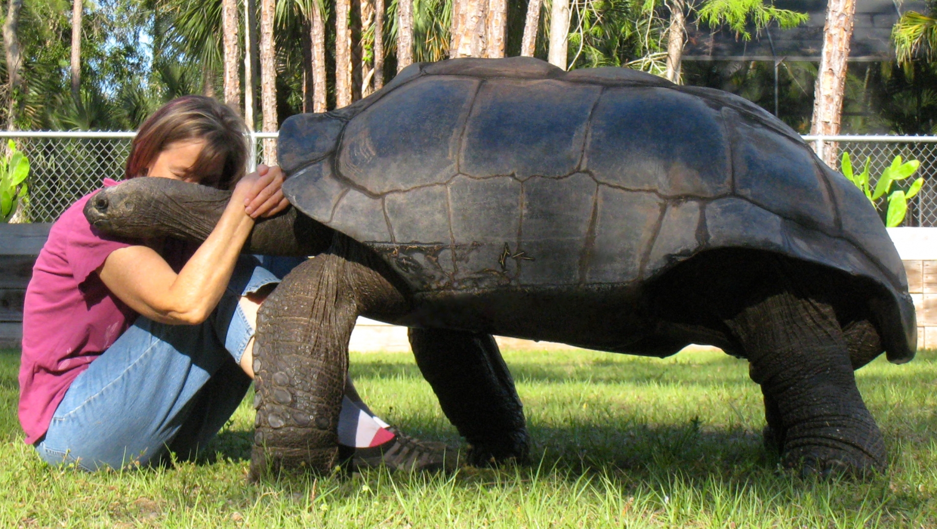 Aldabra Breeders