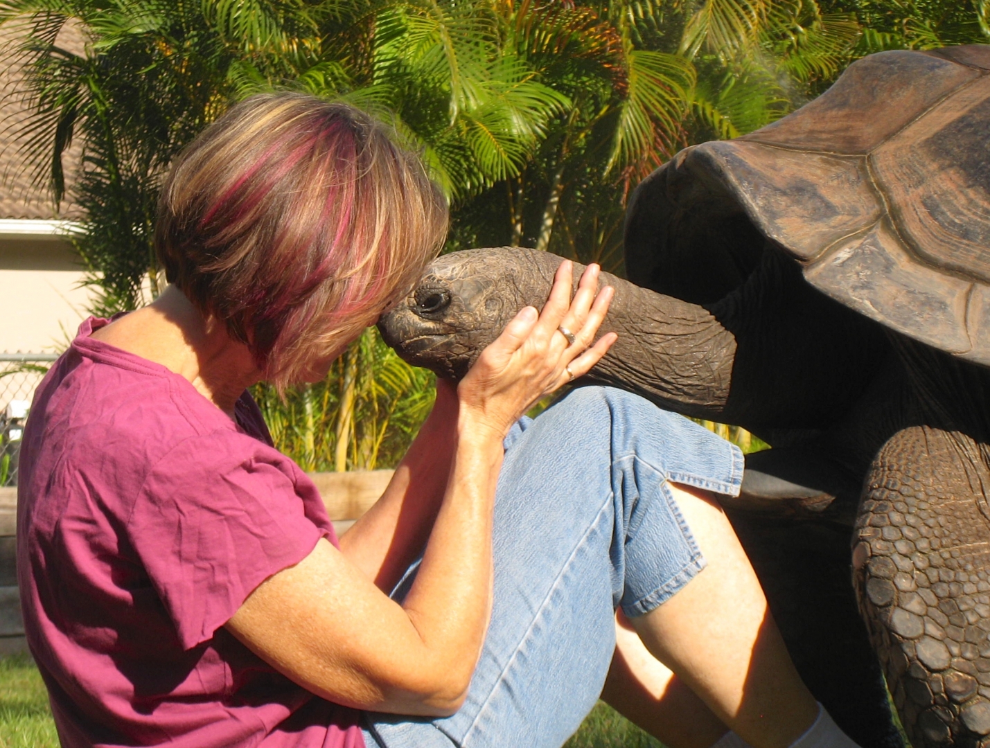 Aldabra Breeders