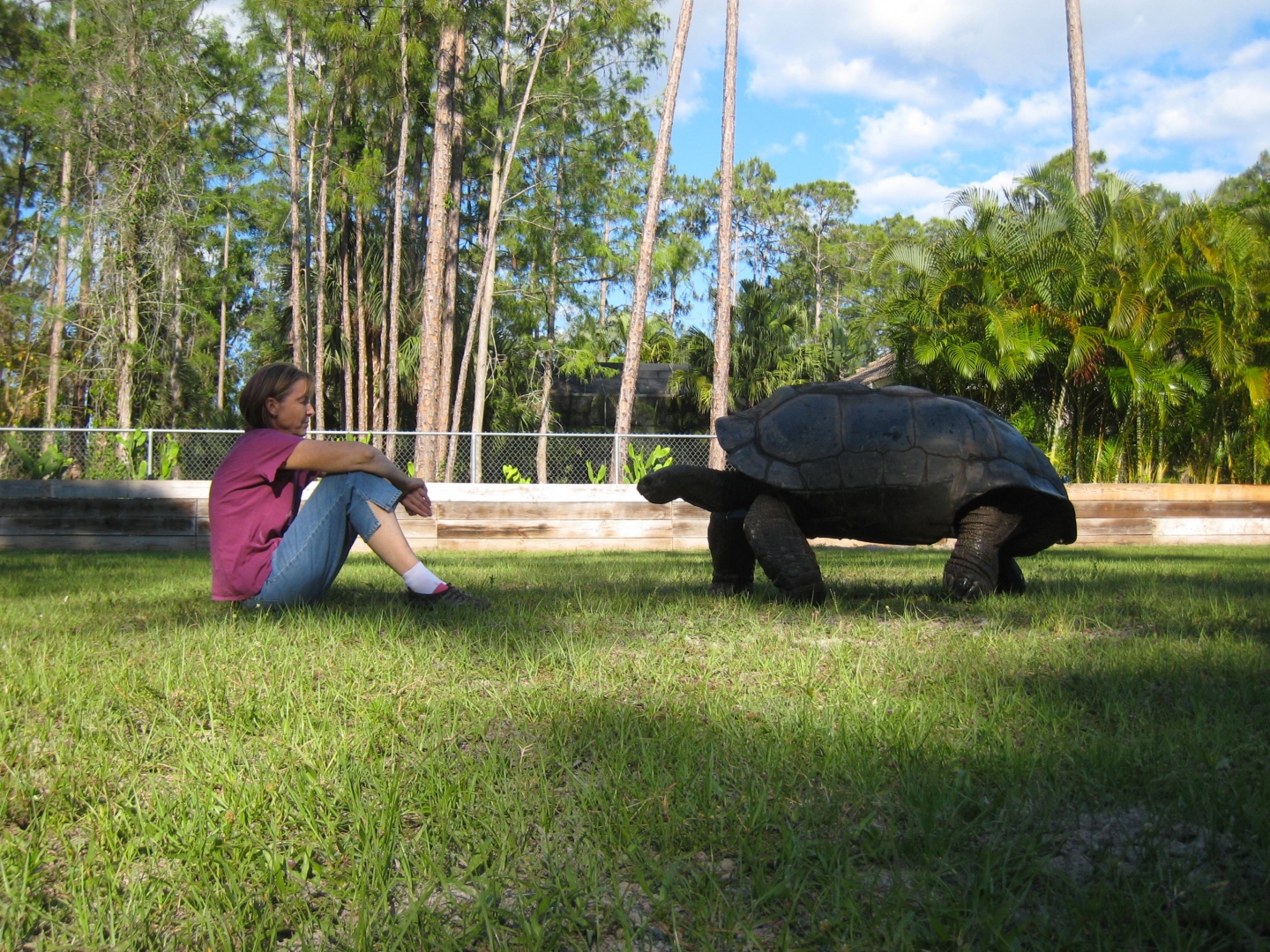 Aldabra Breeders