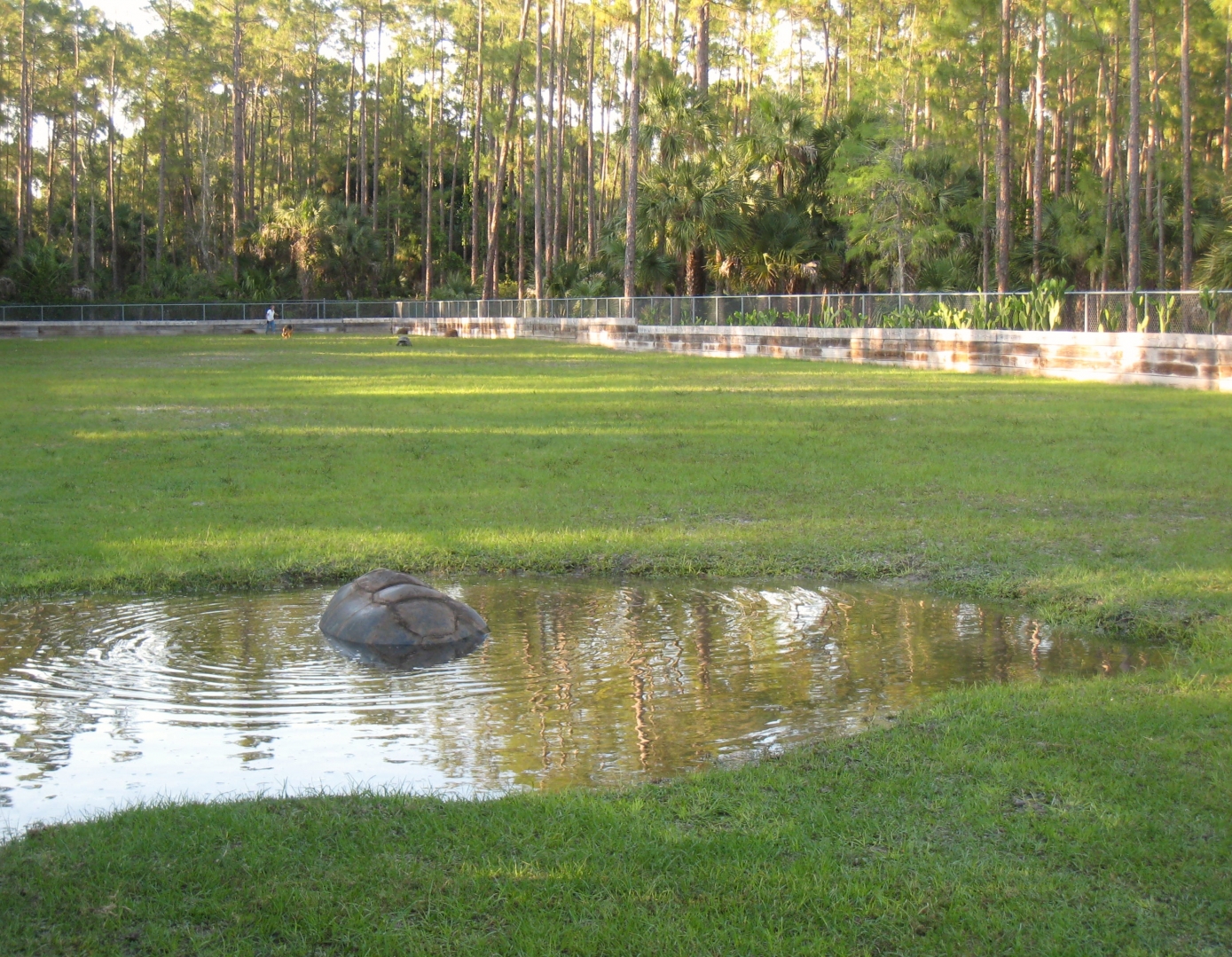 Aldabra Breeders