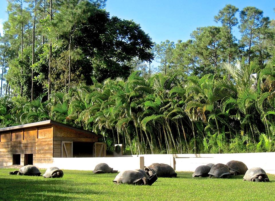 Aldabra Breeders