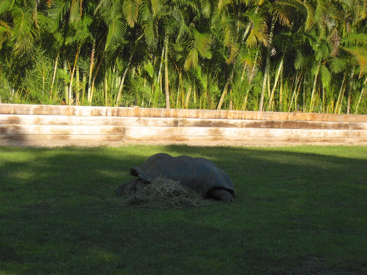 Aldabra Breeders