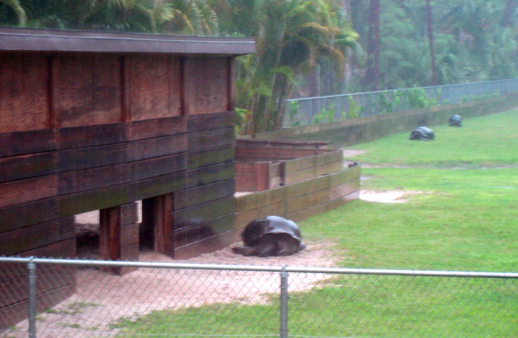 Aldabra Breeders