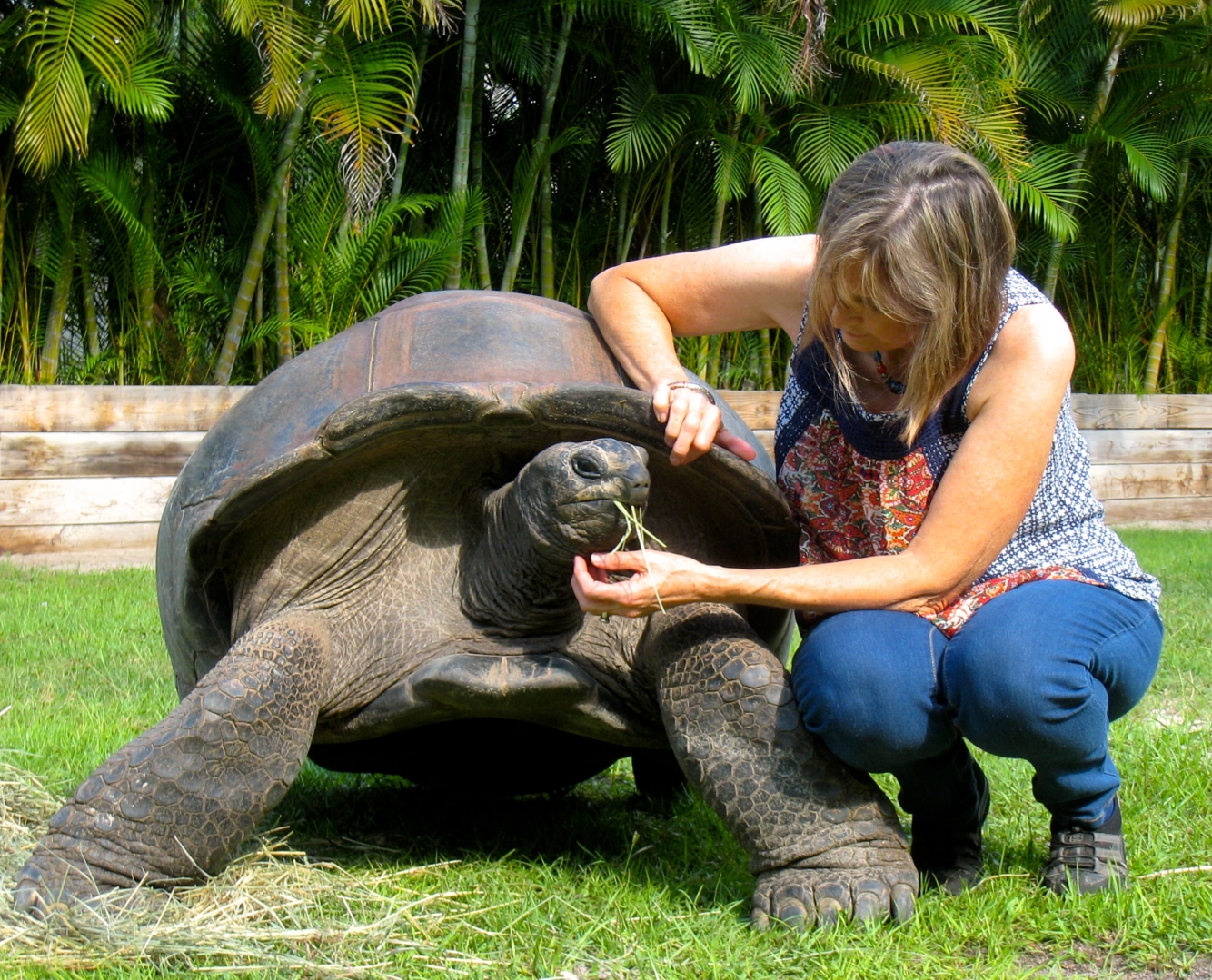 Aldabra Breeders