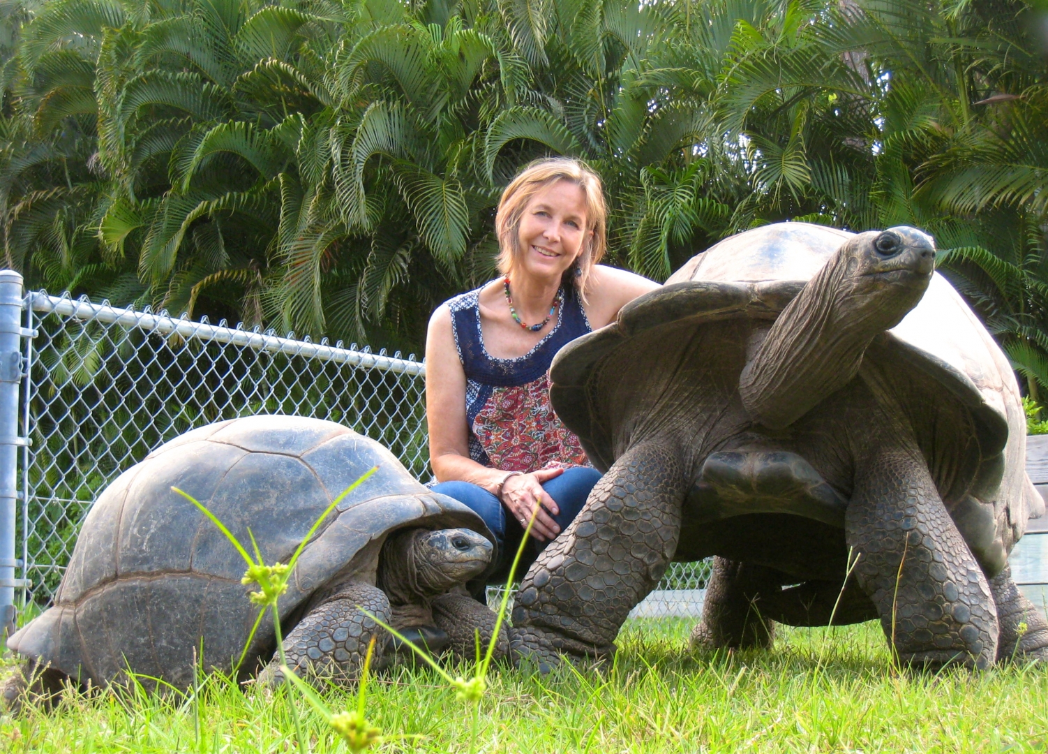 Aldabra Breeders
