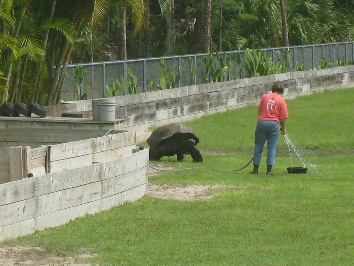 Aldabra Breeders
