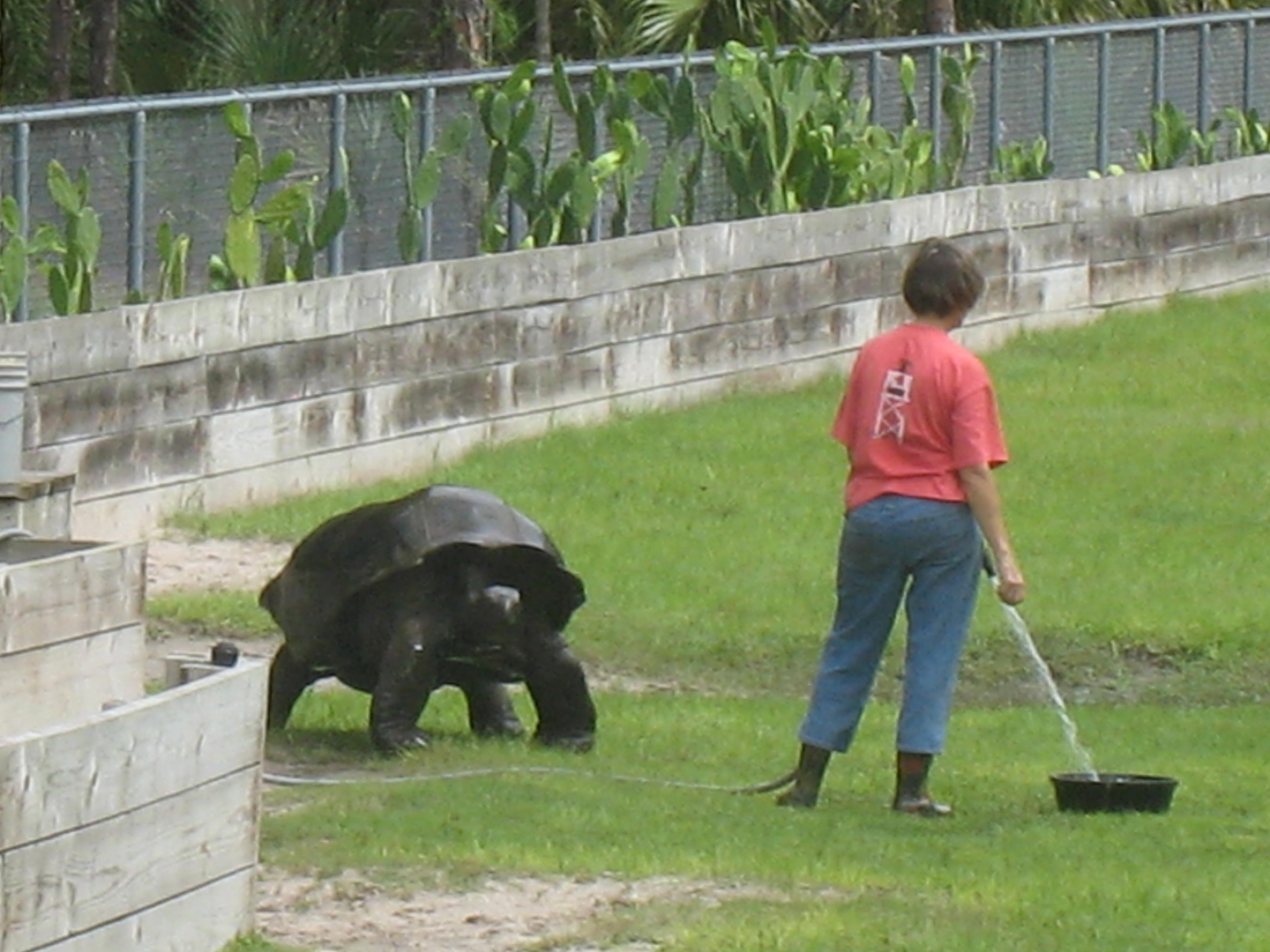 Aldabra Breeders