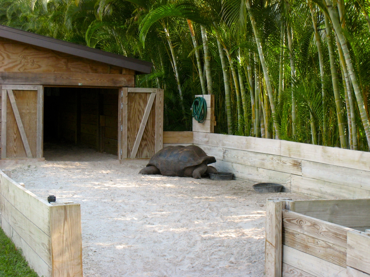 Aldabra Breeders
