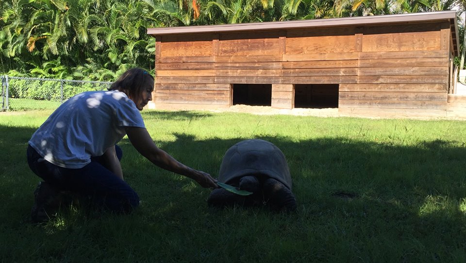 Aldabra Breeders