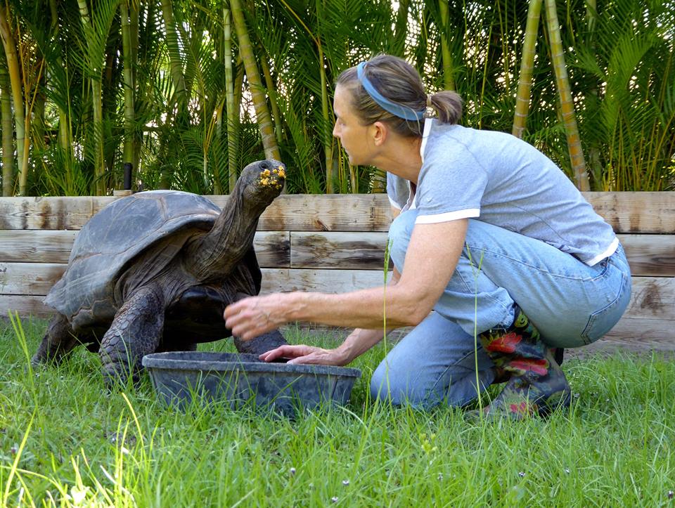Aldabra Breeders