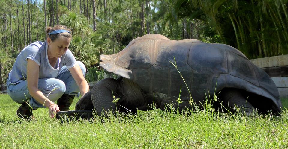 Aldabra Breeders