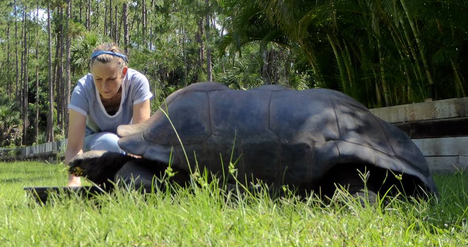 Aldabra Breeders
