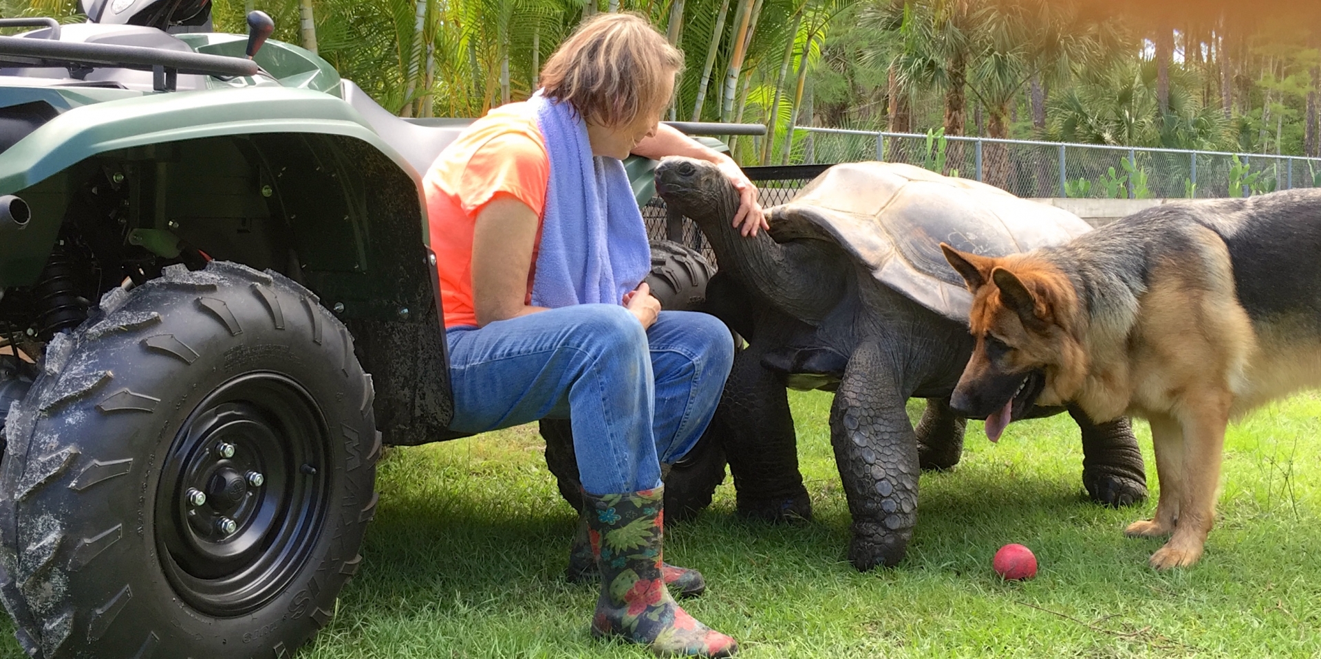 Aldabra Breeders