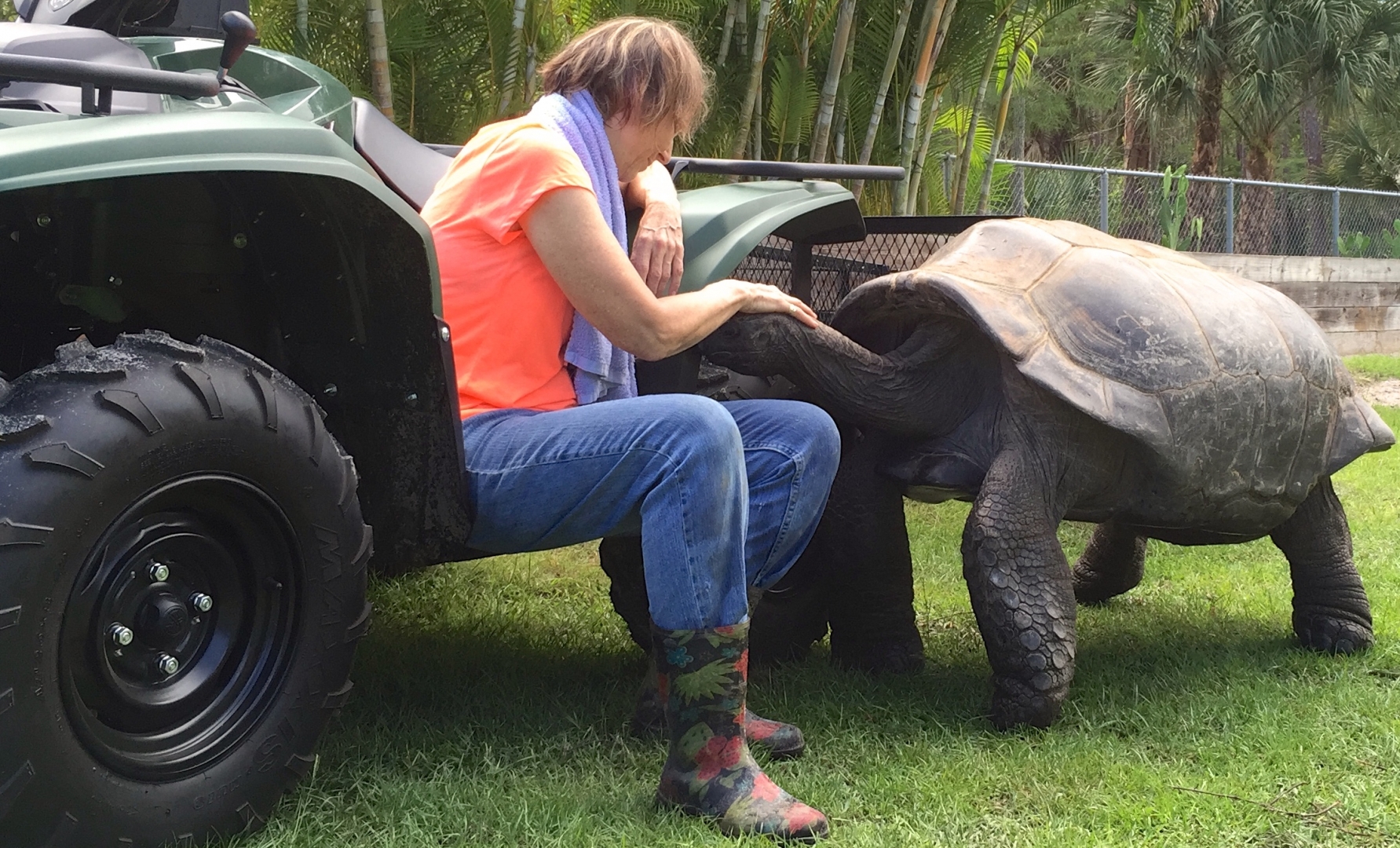 Aldabra Breeders