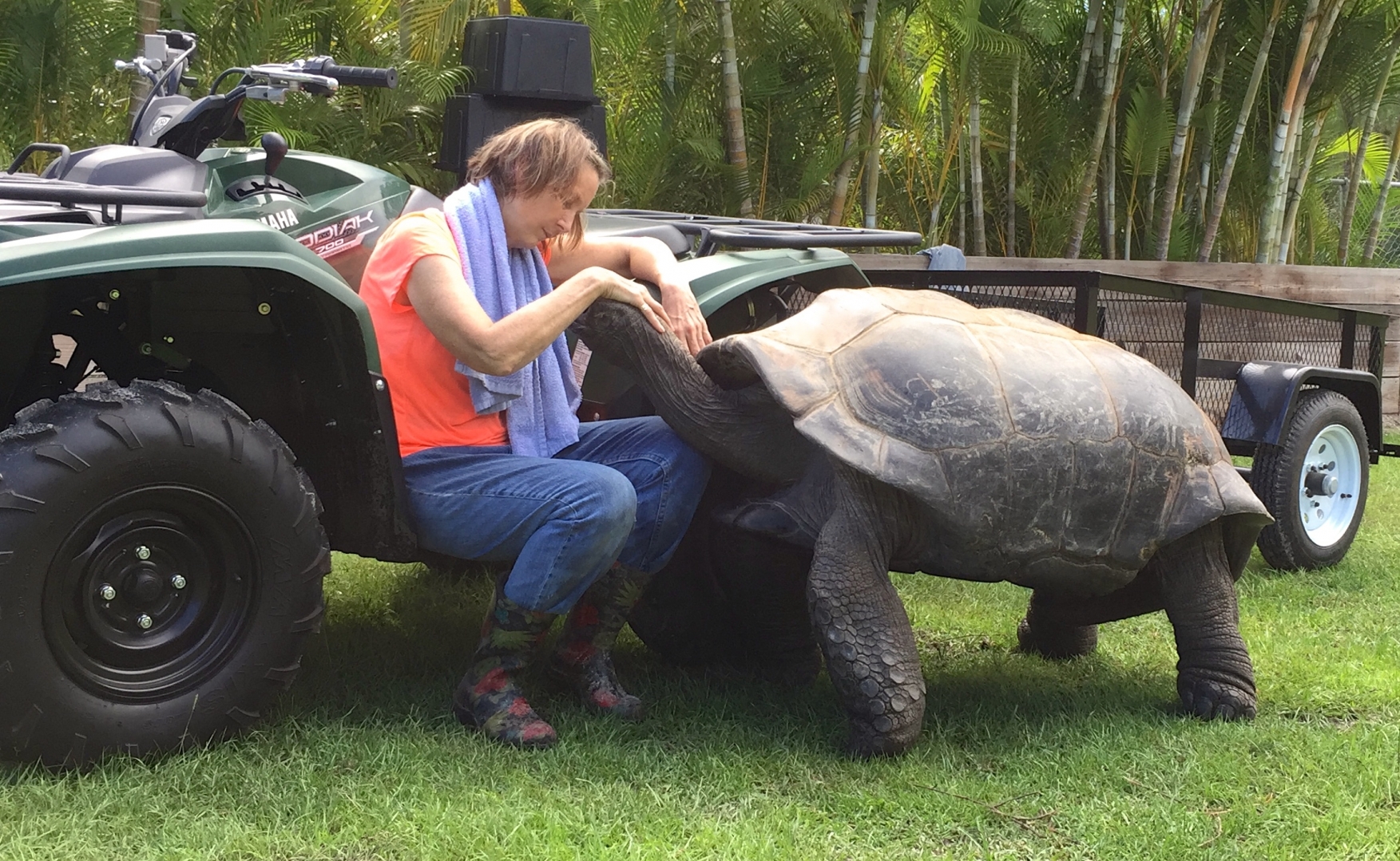 Aldabra Breeders